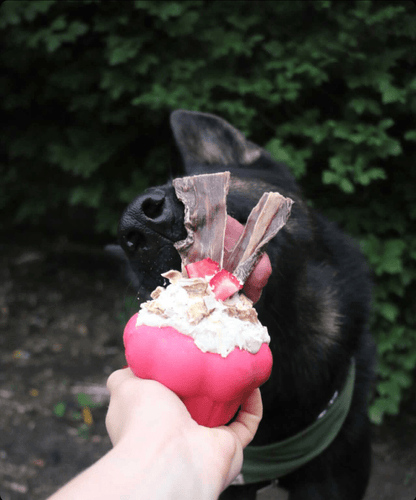 Cupcake eDispenser - Durable Rubber Chew Toy &amp; Treat Dispenser | USA Made