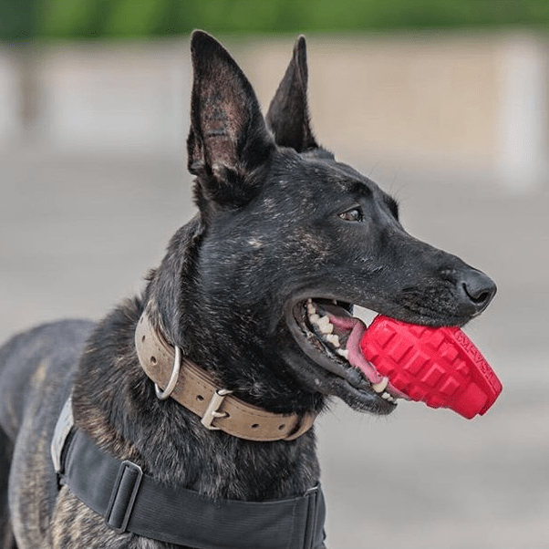 USA-K9 Grenade Rubber Dog Chew Toy | K9 Handler eDispenser Toy | Red &amp; Blue | USA Made