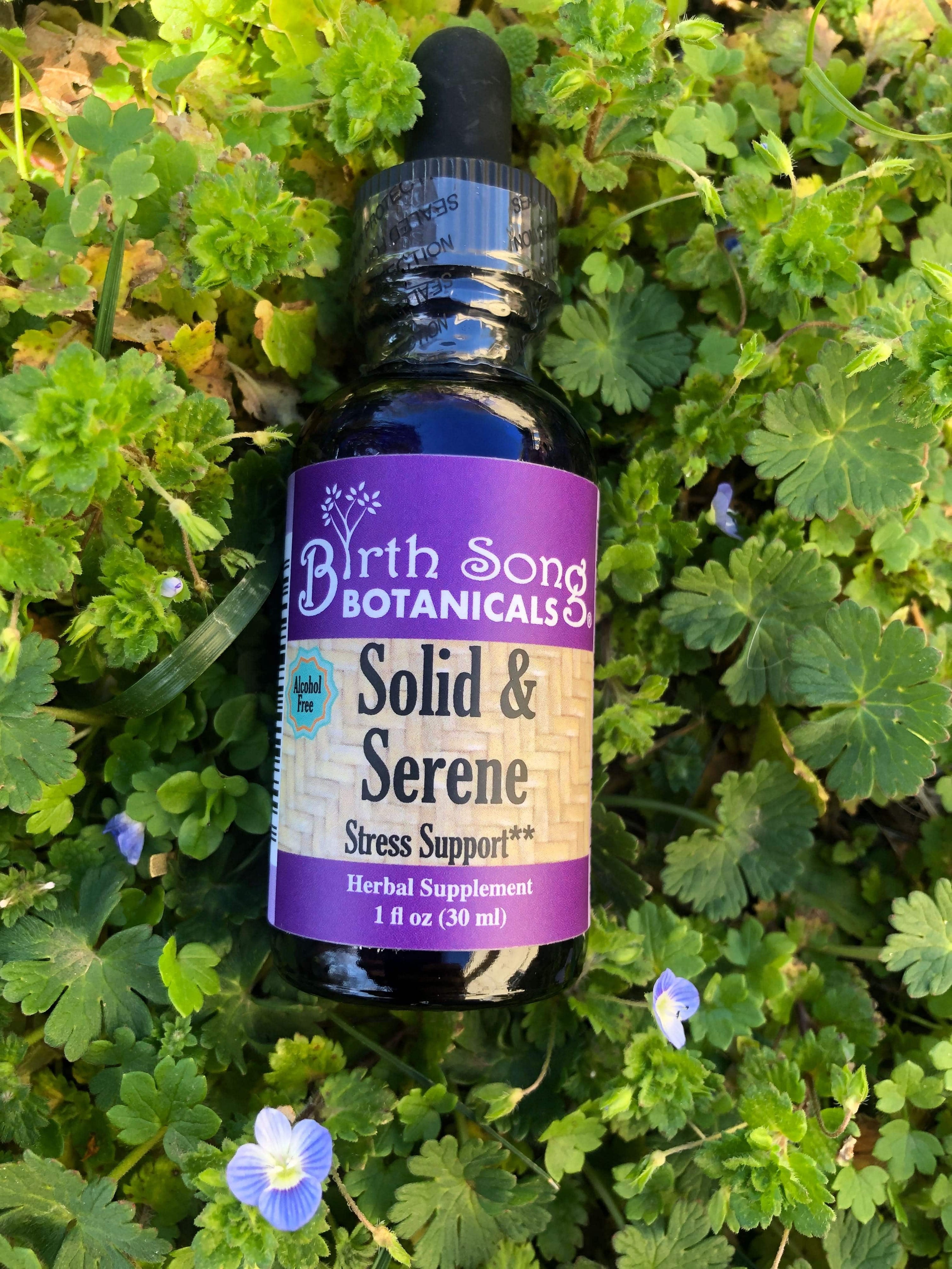 Birth Song Botanicals Co. Tinctures Default Solid &amp; Serene Herbal Tincture For Natural Stress Support* with Passionflower 1 oz.