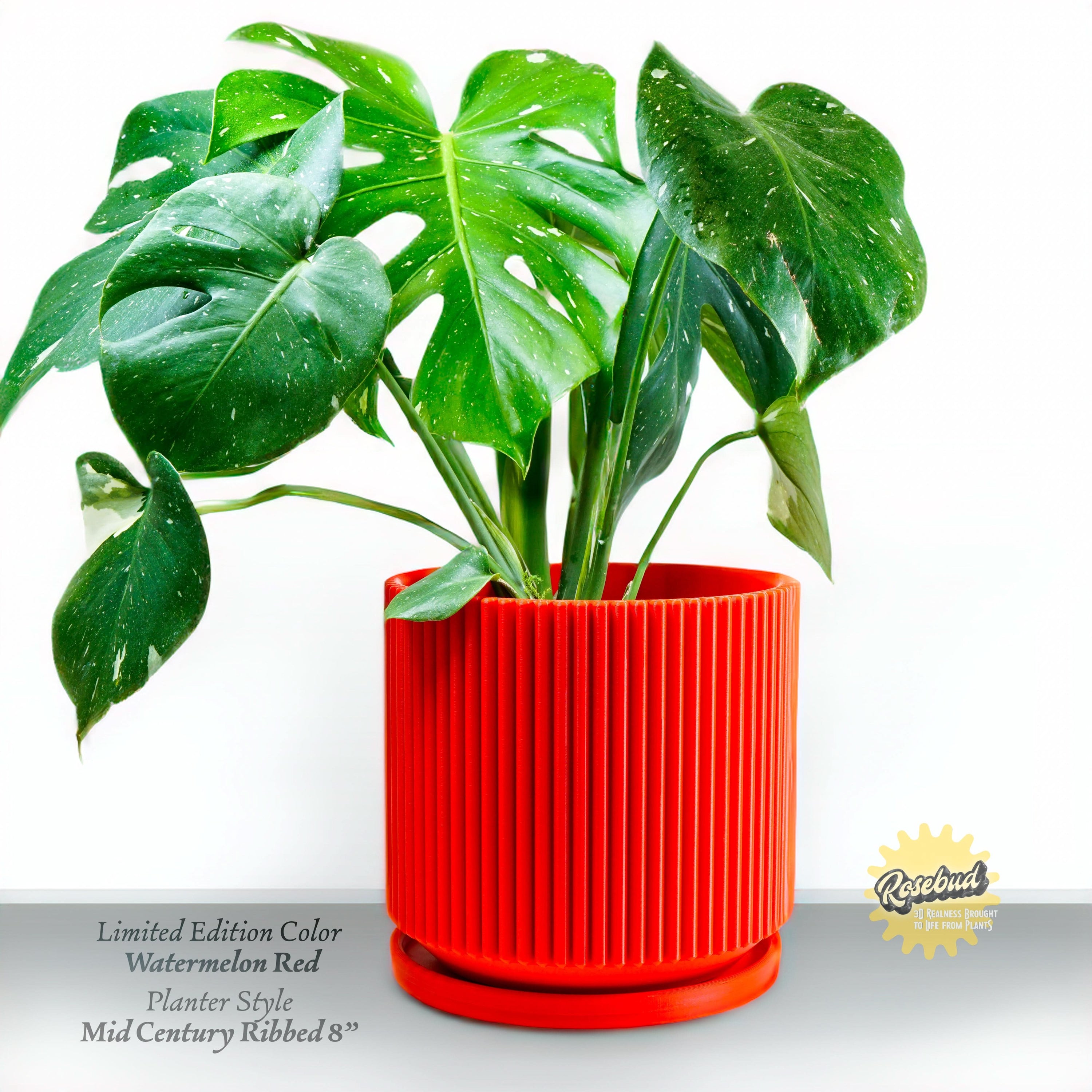 Rosebud HomeGoods Pots &amp; Planters Mid-Century Ribbed Planter