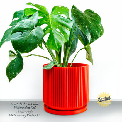 Mid-Century Ribbed Planter - My American Goods