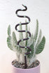 Ceramic Plant Snake Stake - My American Goods