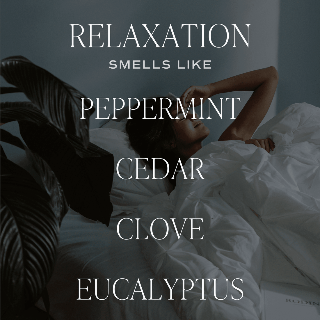 Relaxation Clear Reed Diffuser - My American Goods
