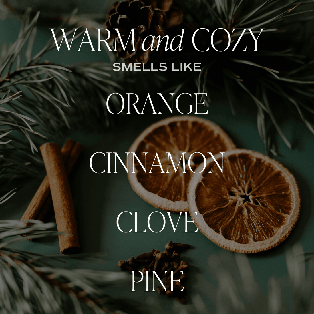 Warm and Cozy Clear Reed Diffuser - My American Goods