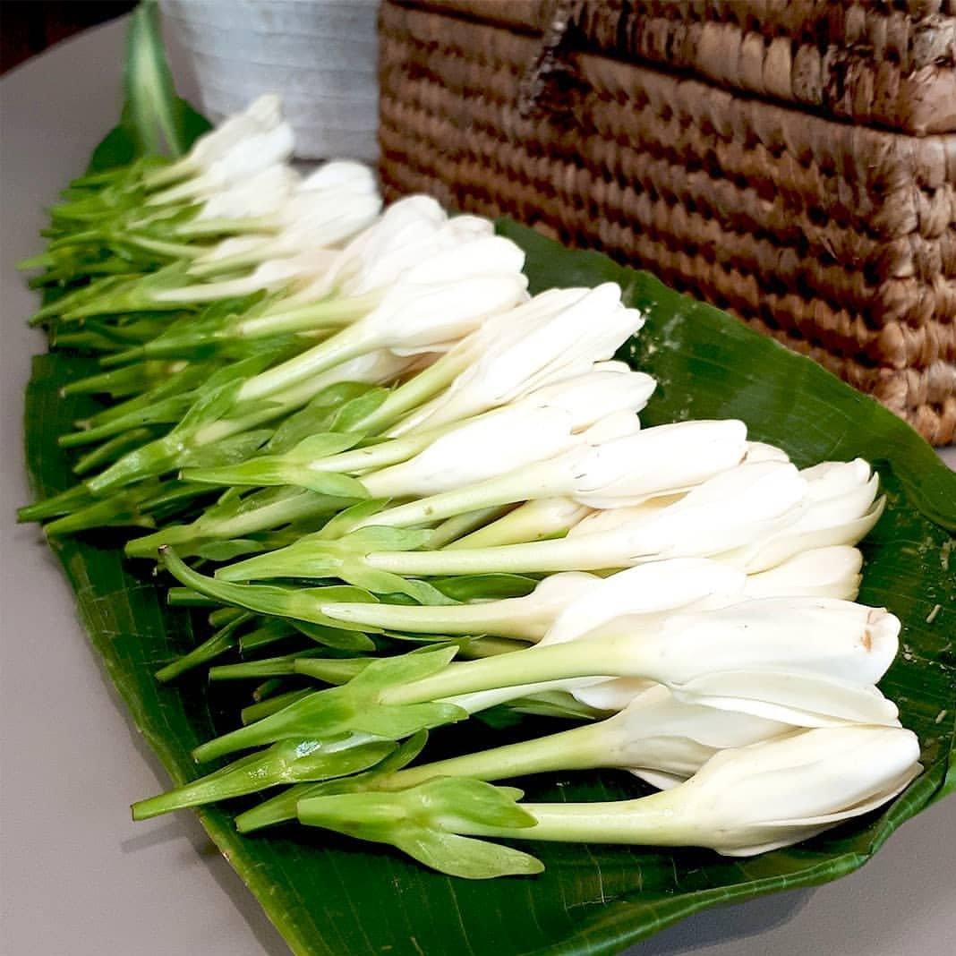 MONOI TAHITI – Natural Deodorant 3.2 oz