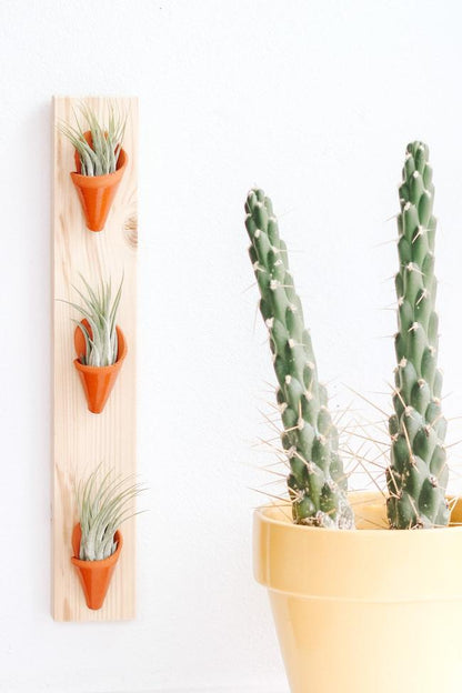 Carter + Rose Terracotta / With Plant Triple Ceramic Wall Planter