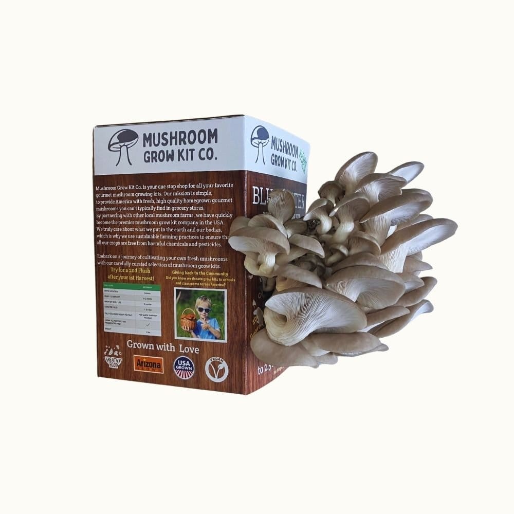Mushroom Grow Kit Co. Oyster Mushrooms Premium Blue Oyster Mushroom Growing Kit - 5 LBS