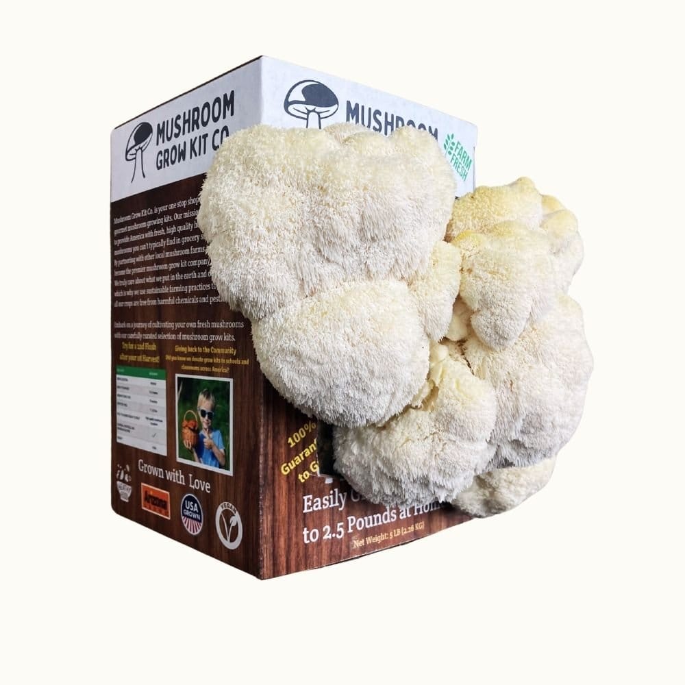 Mushroom Grow Kit Co. Lion&