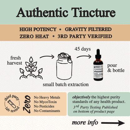 Turmeric, Ginger &amp; Nettle Botanical Tincture