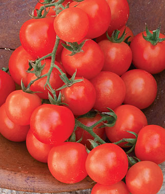 Sweetie Cherry Tomato Seeds