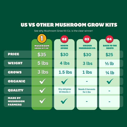 Mushroom Grow Kit Co. Oyster Mushrooms Premium Pink Oyster Mushroom Growing Kit - 5 LBS