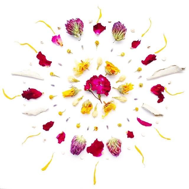plant makeup Wild Flower Hair Serum