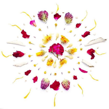 Wild Flower Hair Serum - My American Goods
