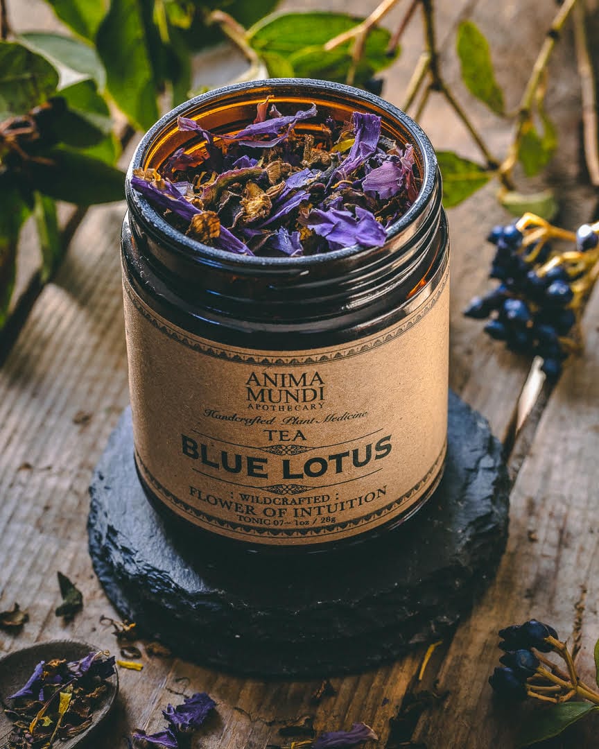 Anima Mundi Tea &amp; Infusions BLUE FLOWER | Blossom of Intuition*