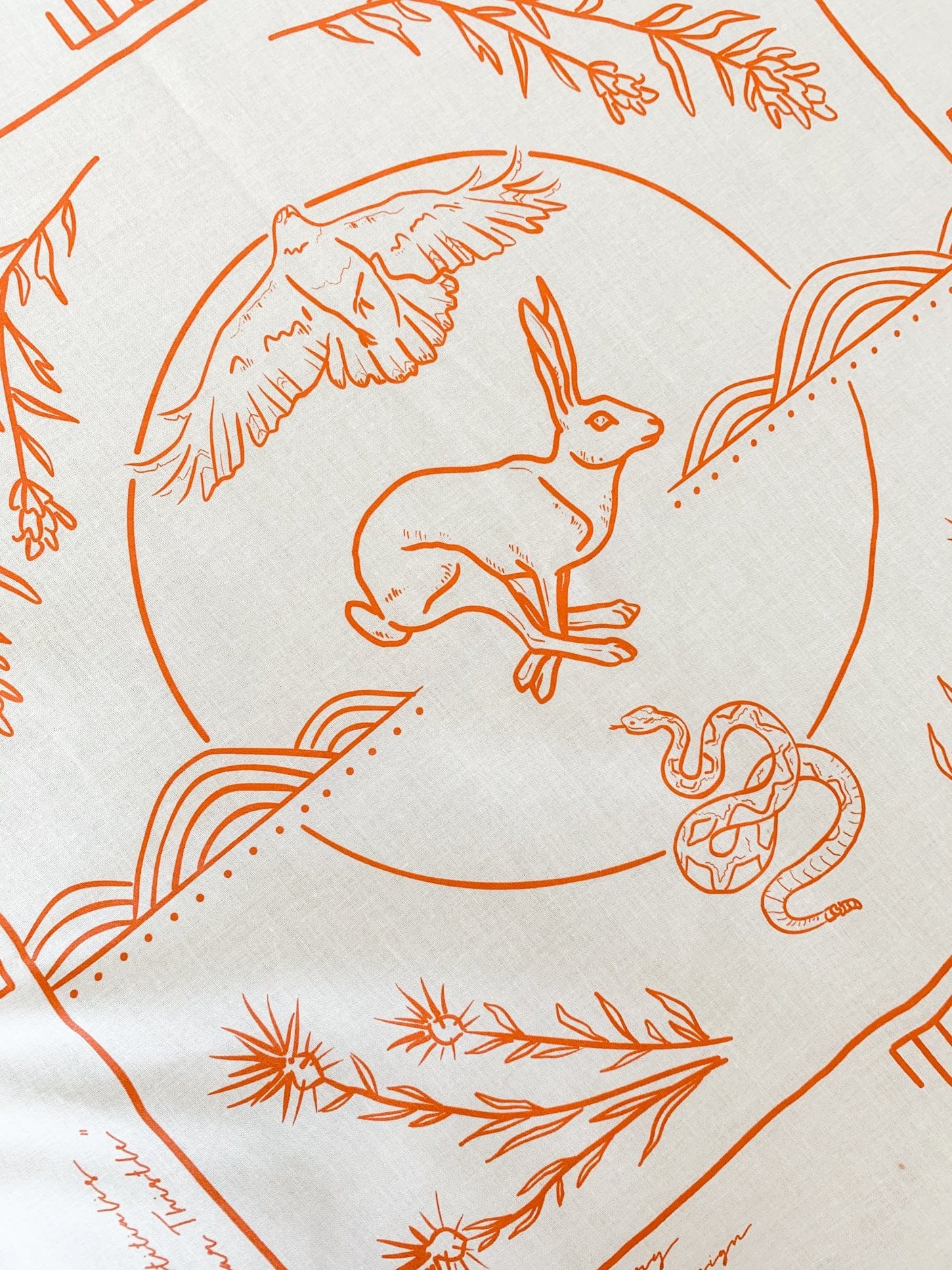 URB APOTHECARY BANDANA Field Guide Collaborative Bandana