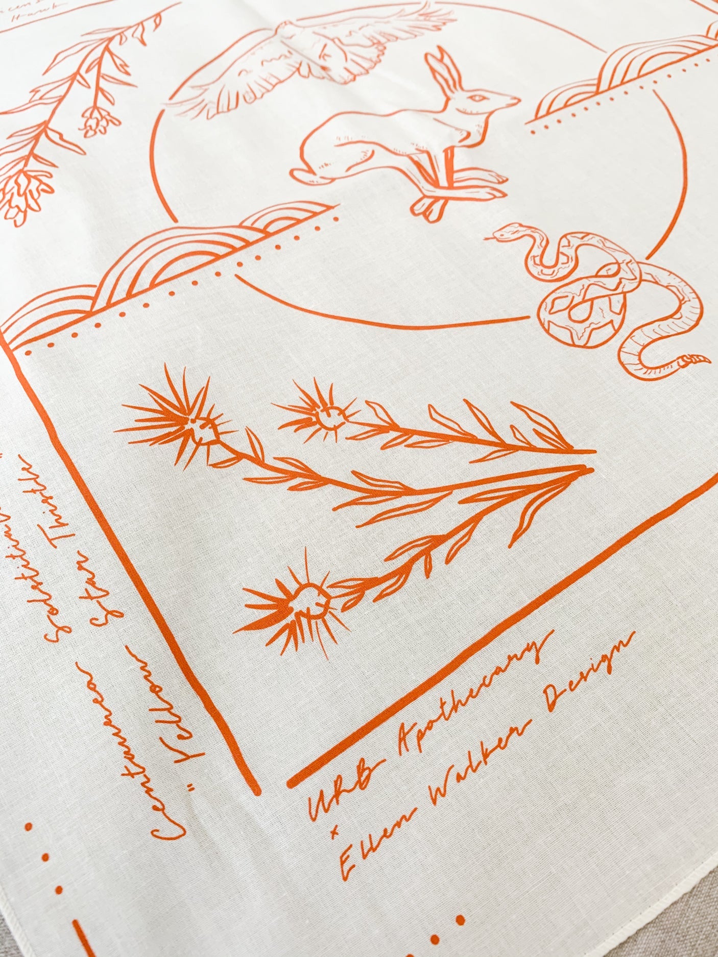 Field Guide Collaborative Bandana