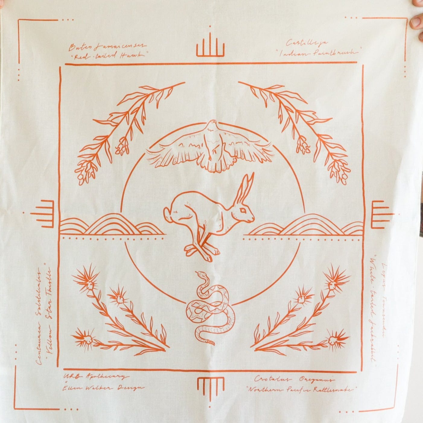 URB APOTHECARY BANDANA Field Guide Collaborative Bandana