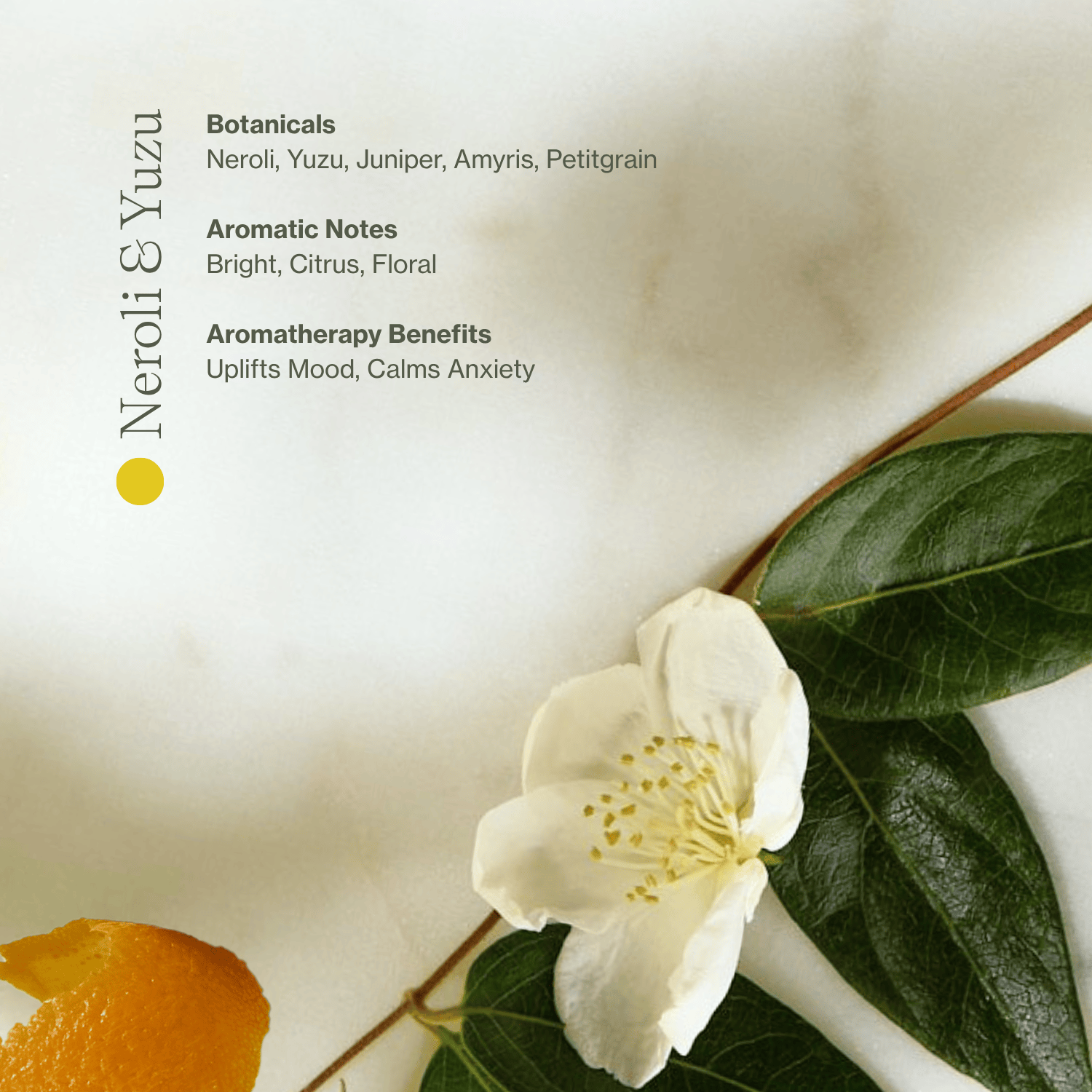 Vitamin C Body Oil