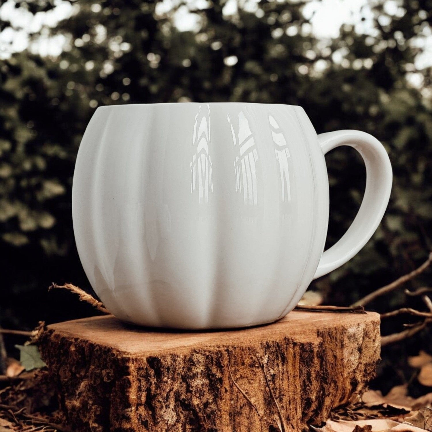 Gia Roma Coffee Mug Pumpkin Mug