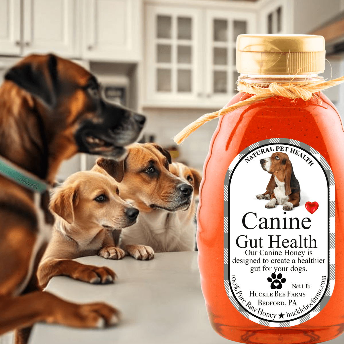 Huckle Bee Farms LLC K9 Honey: Vet-Approved Allergy Relief &amp; Immune Support