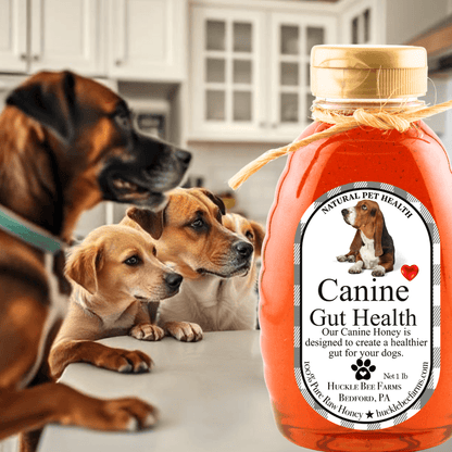 K9 Honey: Vet-Approved Allergy Relief &amp; Immune Support