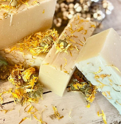 Wholesale Specialty Soap Bars, 6-Pack