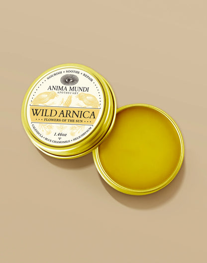 Anima Mundi Balm WILD ARNICA BALM | Flowers of the Sun