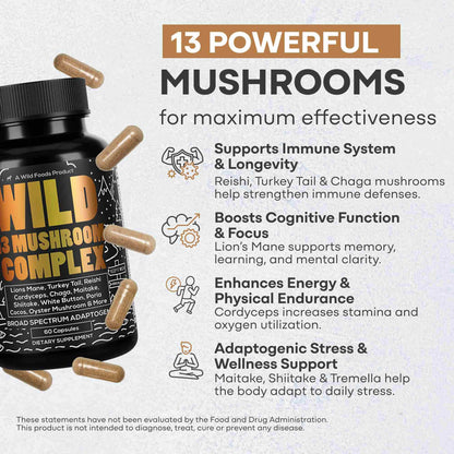 13 Mushroom Complex, 30 servings - Immunity and Longevity Support - My American Goods
