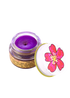 plant makeup Wild Rose Lip Balm